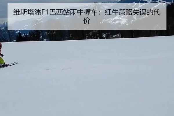 wei-si-ta-pan-ba-xi-zhan-yu-zhong-zhuang-che-hong-niu-ce-lve-shi-wu-de-dai-jia-3-706.jpg