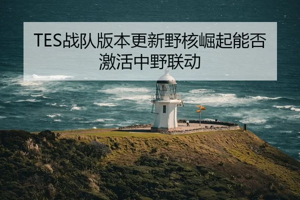 zhan-dui-ban-ben-geng-xin-ye-he-jue-qi-neng-fou-ji-huo-zhong-ye-lian-dong-2-555.jpg